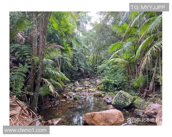 布莱克尼的魅力探秘：历史文化与自然风光的完美融合之旅