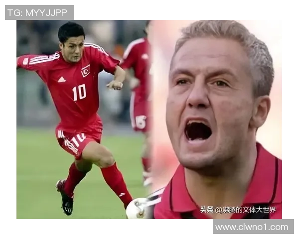 乌克兰与土耳其世界杯对决精彩回顾与赛后分析