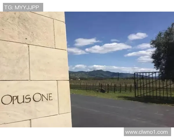 皮特鲁斯的传奇之路:从酒庄崛起到全球美酒的象征 皮特鲁斯的传奇之路:从酒庄崛起到全球美酒的象征